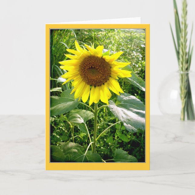 Tarjeta de felicitación con foto de girasol (Anverso)