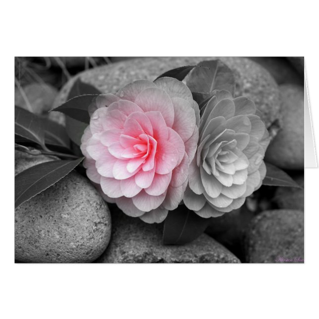 Tarjeta de felicitación con fotos de camellias ros (Anverso (Horizontal))