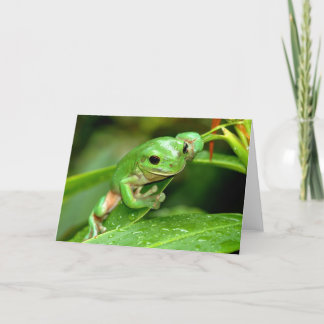 Tarjeta de felicitación con fotos de la rana verde