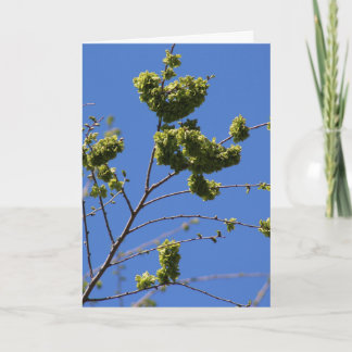 Tarjeta de felicitación con hojas de árbol en form