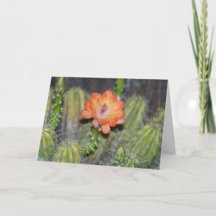 Tarjeta de felicitación con la flor anaranjada del