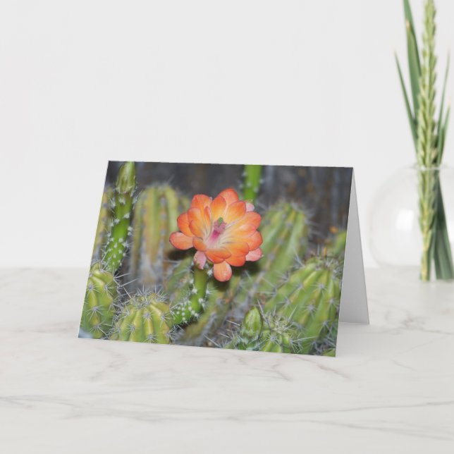 Tarjeta de felicitación con la flor anaranjada del (Anverso)