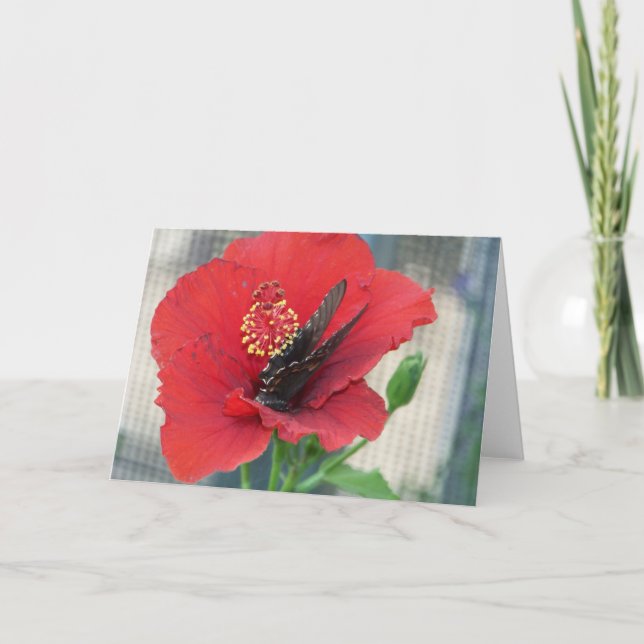 tarjeta de felicitación con la mariposa en la flor (Anverso)