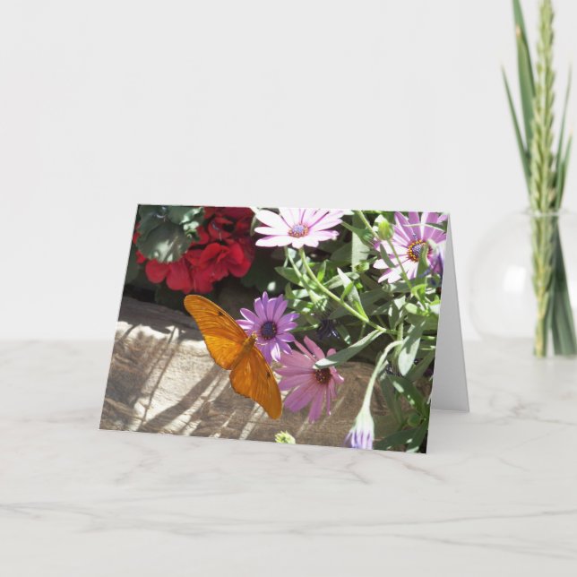 tarjeta de felicitación con la mariposa y las (Anverso)