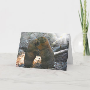 Tarjeta de felicitación con linda pareja de marmot