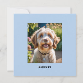 Tarjeta de felicitación con nombre de foto de gato