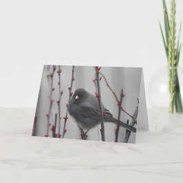Tarjeta de felicitación con pájaro en un árbol