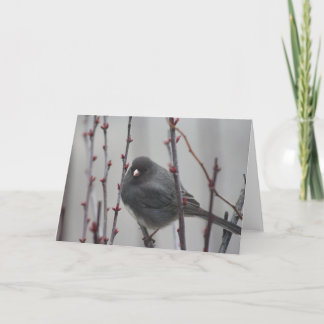 Tarjeta de felicitación con pájaro en un árbol