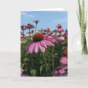 Tarjeta de felicitación Cone Flowers