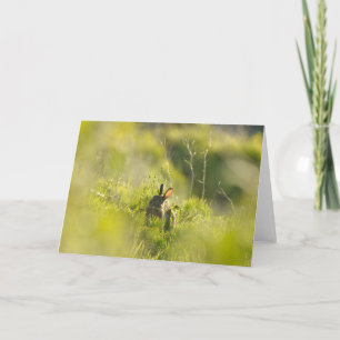 Tarjeta de felicitación - Conejo 3