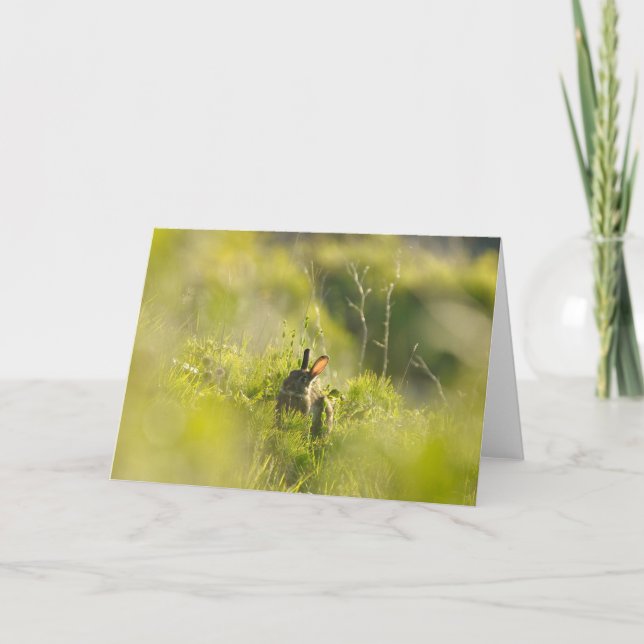 Tarjeta de felicitación - Conejo 3 (Anverso)