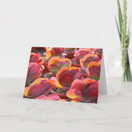 Tarjeta de felicitación correcta para la planta de