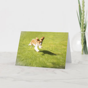 Tarjeta de Felicitación Corriendo Cachorro en el J