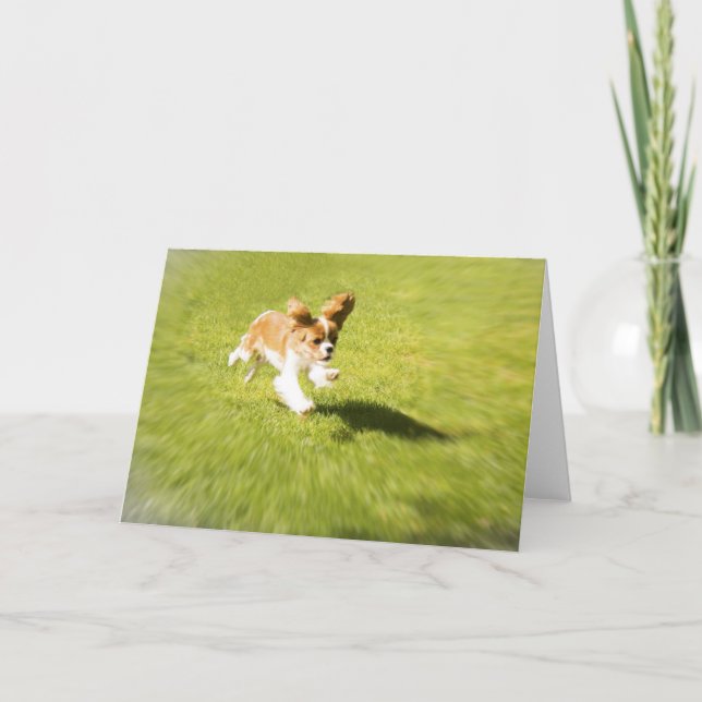 Tarjeta de Felicitación Corriendo Cachorro en el J (Anverso)