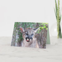 Tarjeta de felicitación Cougar Cub