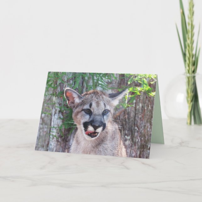 Tarjeta de felicitación Cougar Cub (Anverso)