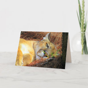 Tarjeta de felicitación Cougar / Pantera Florida q