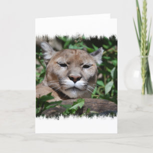 Tarjeta de felicitación Cougar Predator