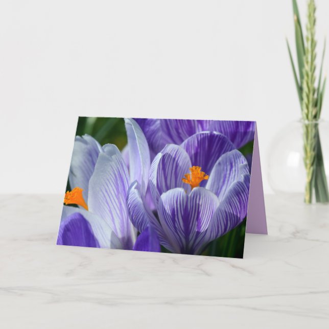 tarjeta de felicitación crocus (Anverso)