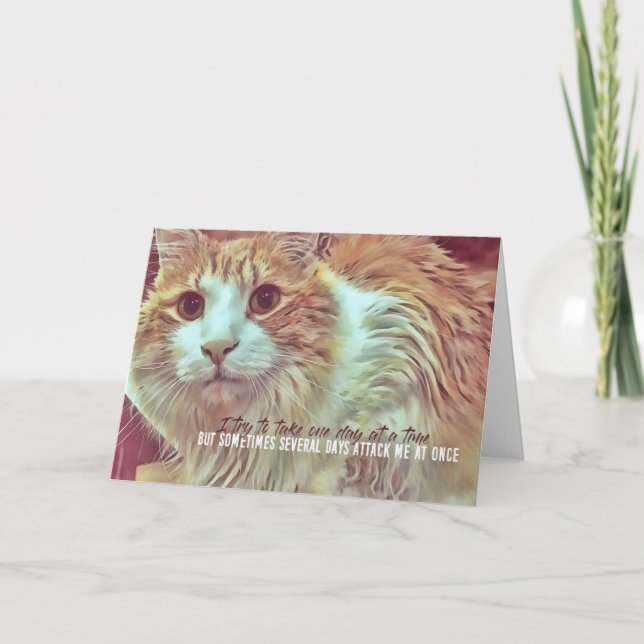 Tarjeta de felicitación CURIOSA (Anverso)