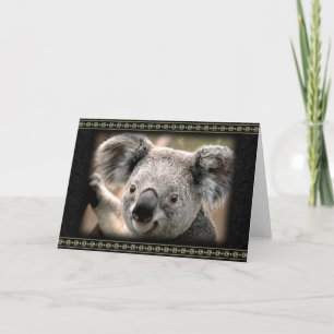 Tarjeta de felicitación curiosa de la koala