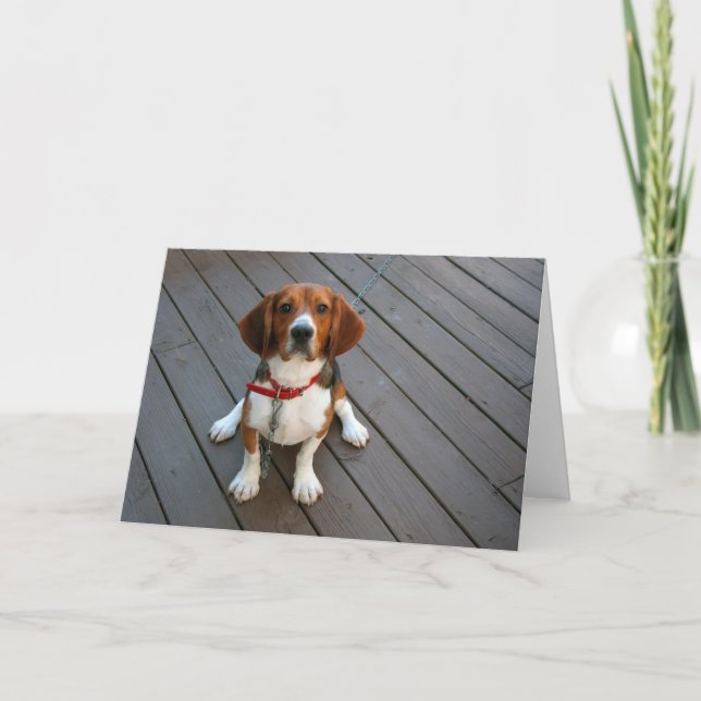 Tarjeta de felicitación Cute Beagle Pup (Anverso)