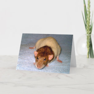 Tarjeta de felicitación Cute Dumbo Rat