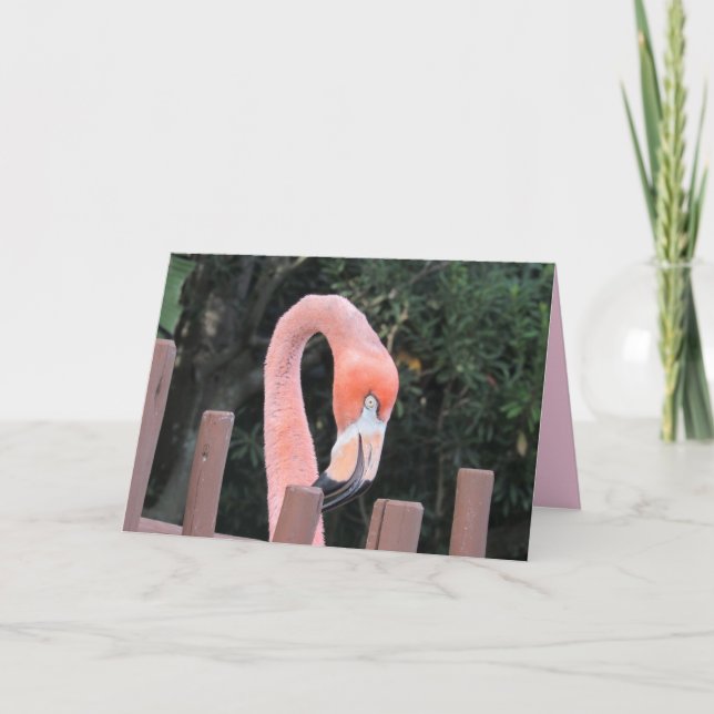 Tarjeta de felicitación Cute Flamingo (Anverso)