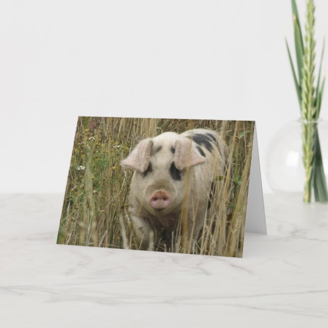 Tarjeta de felicitación Cute Pig (Anverso)