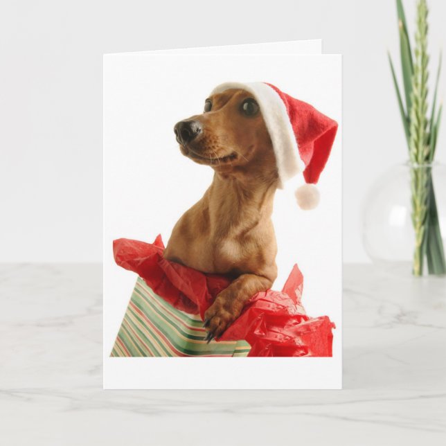 Tarjeta de felicitación Dachshund para navidades (Anverso)