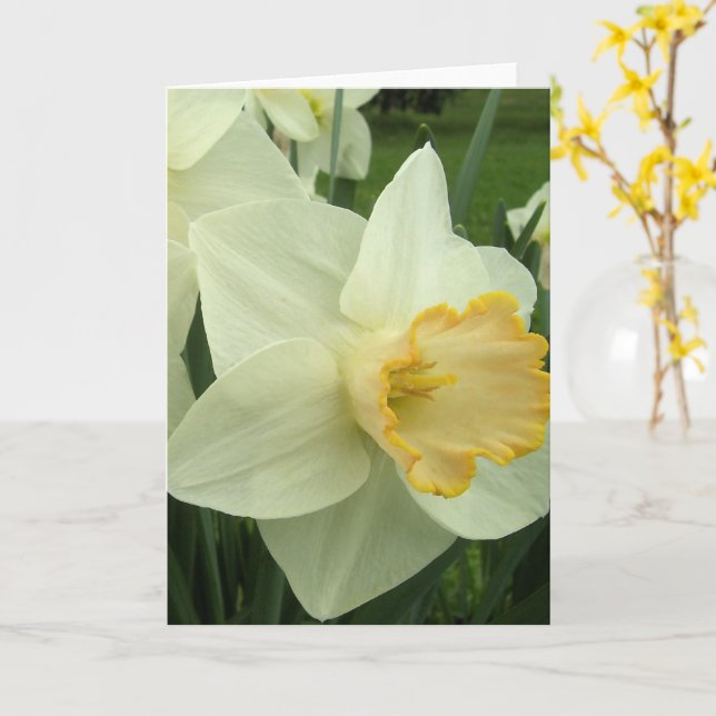 Tarjeta de felicitación - Daffodil de corazón dora (flor amarilla)
