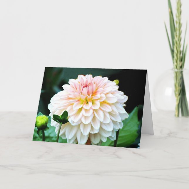 Tarjeta de felicitación Dahlia rosa (Anverso)