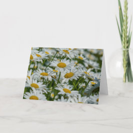 Tarjeta de felicitación - Daises en Vermont