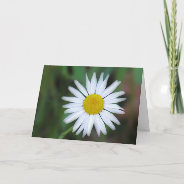 Tarjeta de felicitación Daisy (Anverso)