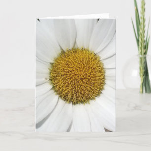 Tarjeta de felicitación - Daisy