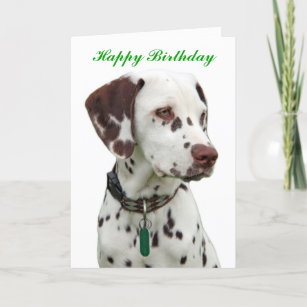 Perrito Dálmata Perros Personalizado Cumpleaños tarjeta de saludos
