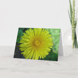 Tarjeta de felicitación - Dandelion