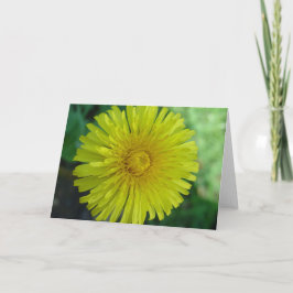 Tarjeta de felicitación - Dandelion