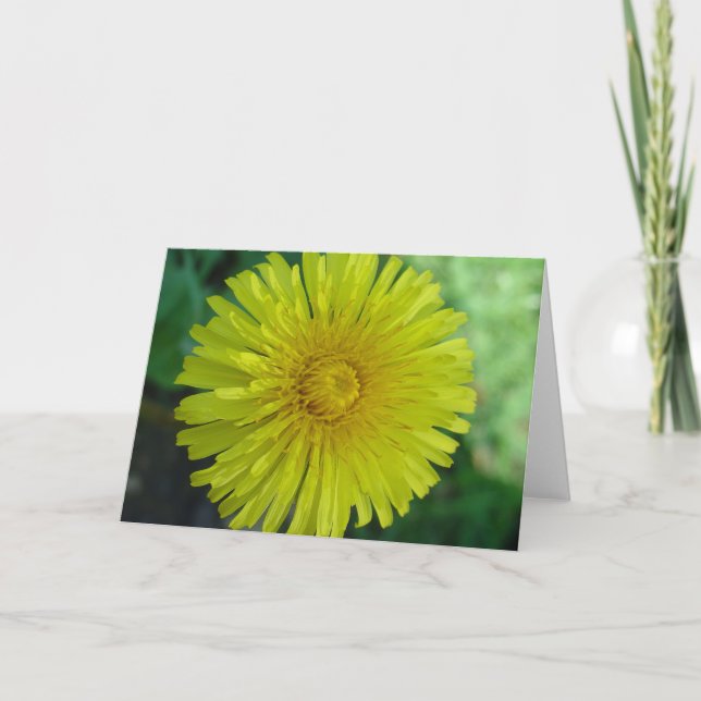 Tarjeta de felicitación - Dandelion (Anverso)