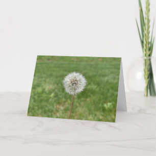 Tarjeta de felicitación Dandelion