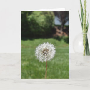 Tarjeta de felicitación Dandelion