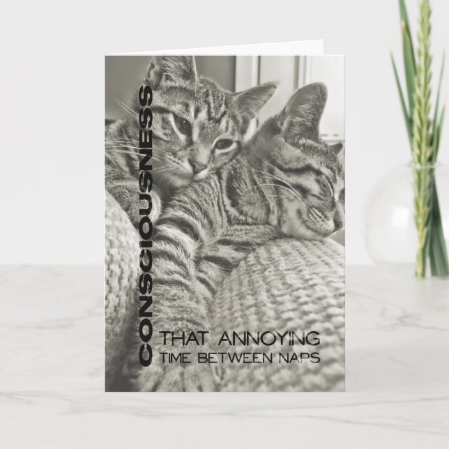 Tarjeta de felicitación de 40 WINKS (Anverso)