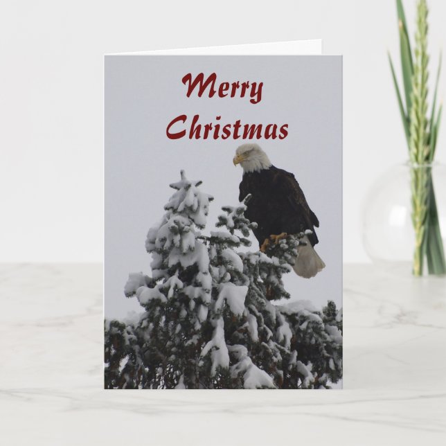 Tarjeta de felicitación de águila calva (Anverso)