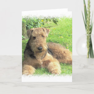 Tarjeta de felicitación de Airedale Terrier