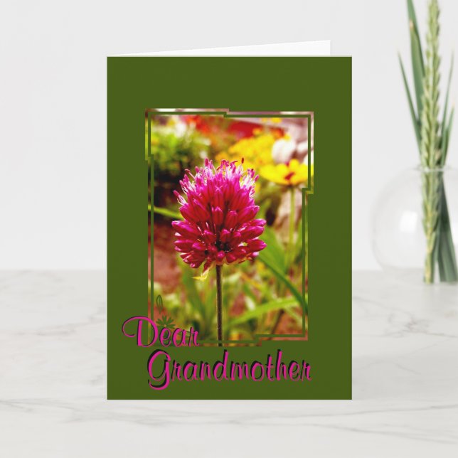 Tarjeta de felicitación de Allium rosa 002 (Anverso)