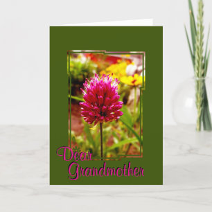 Tarjeta de felicitación de Allium rosa 002
