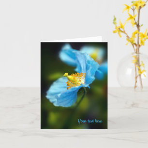 Tarjeta de felicitación de amapola azul del Himala