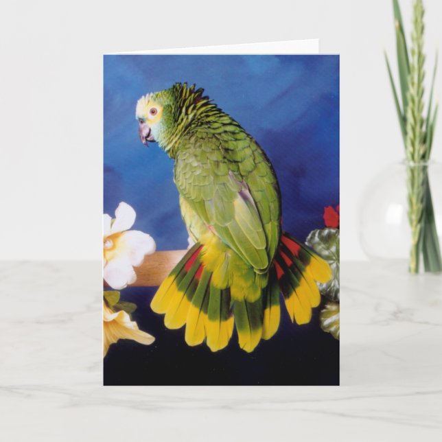 Tarjeta de felicitación de Amazon Parrot (Anverso)