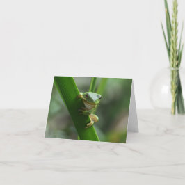 Tarjeta de felicitación de amistad con ranas de ár