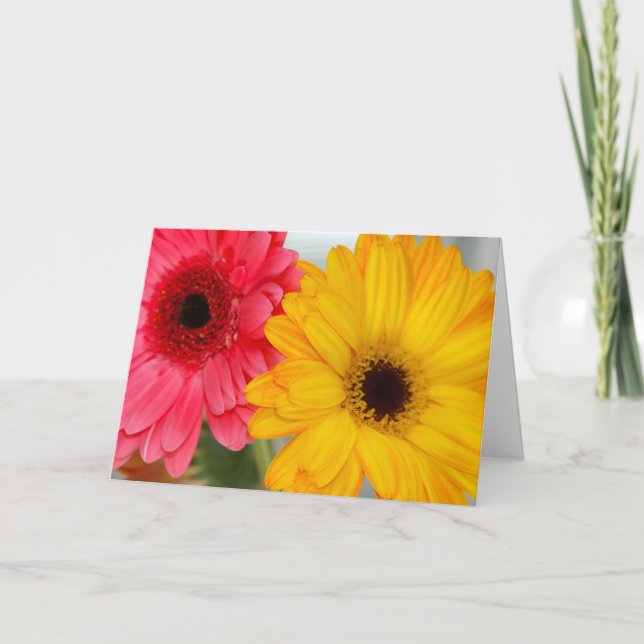 Tarjeta de felicitación de amistad Gerber Daises (Anverso)